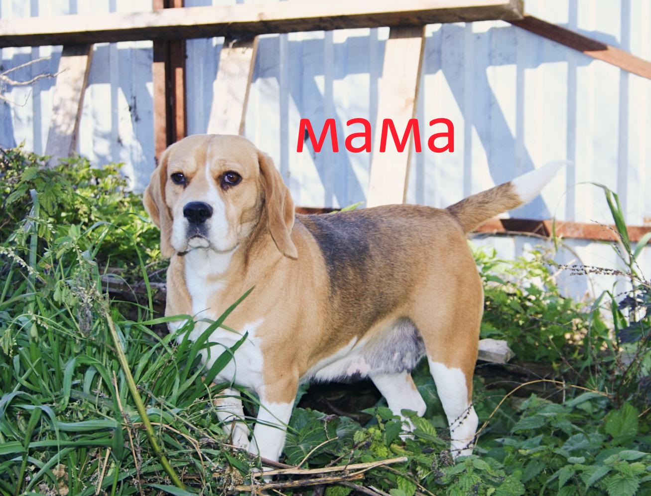 марта2