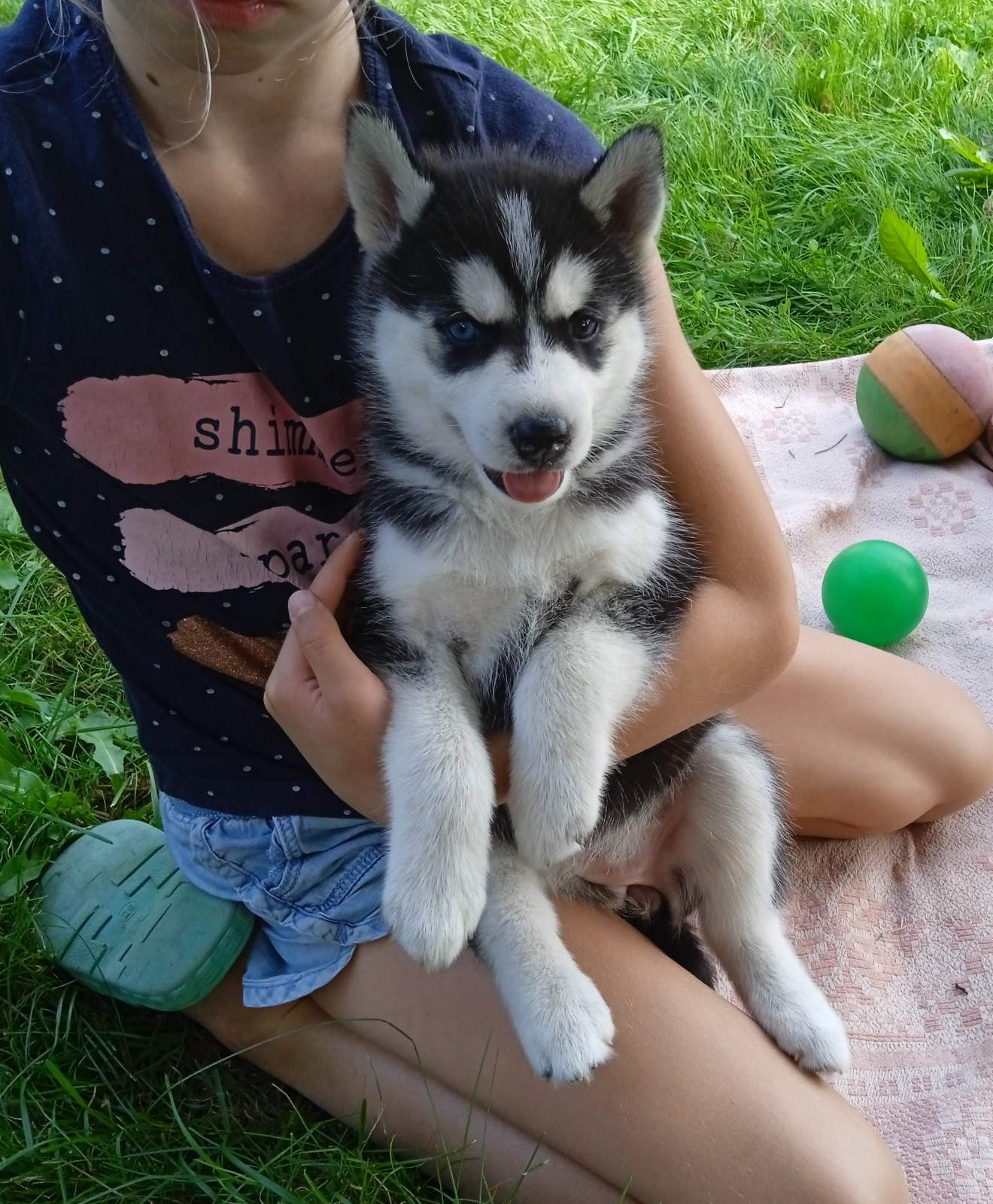 изображение_viber_2022-08-28_14-38-58-419